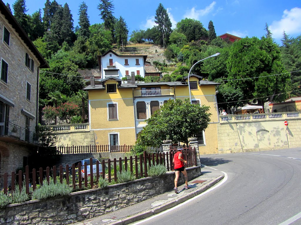 Strada di Albavilla by Paolo Lazzarini