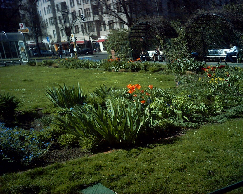 Tulipanes en Savignyplatz by aleReimondo