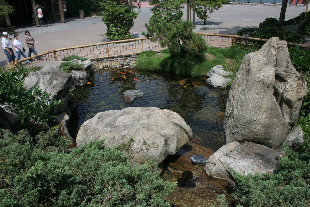 Koi Pond by Scott Hanko