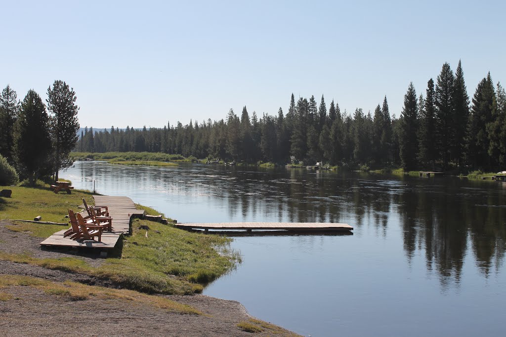 Yellow Stone NP July 2012 by mikel655