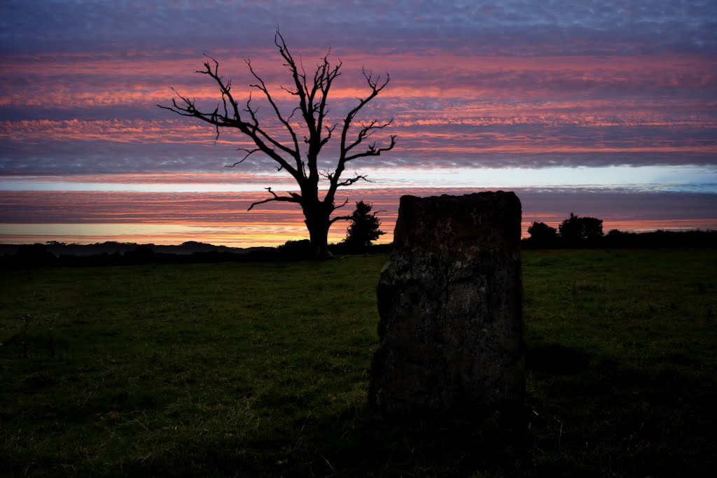 Stanton drew - tree & stone by fat-freddies-cat