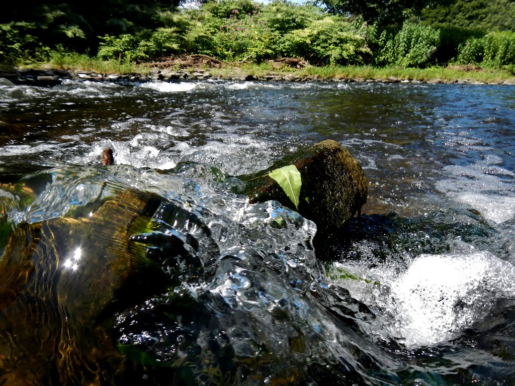 Renaturierte Wupper by Holger Uwe Schmitt