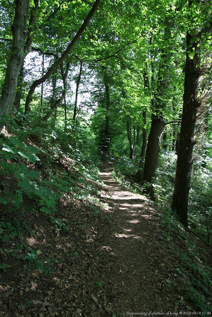 :: Wanderung, Schaumberg Tafeltour :: by iZerf™