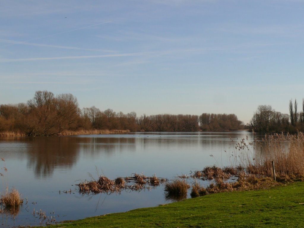 Naturschutzgebiet in der Haseldorfer Marsch by Robert (elch)