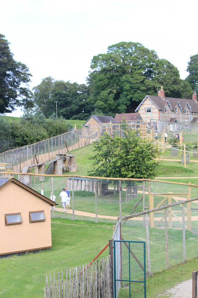 Longleat Safari Park Giraffe Feeding area by fillup