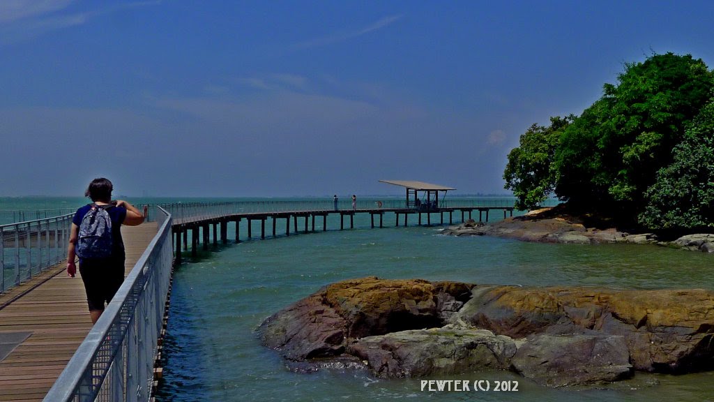 The boardwalk at Chek Jawa by pewter.sg