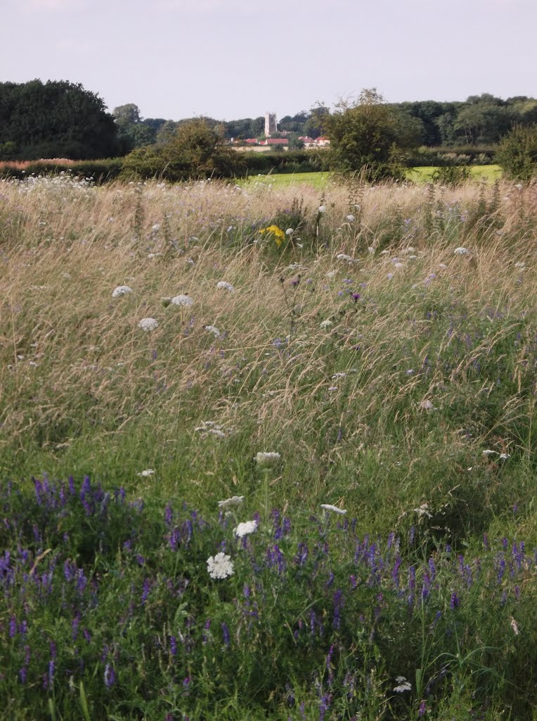 Carlton-in-Lindrick church viewed from Worksop by mspike