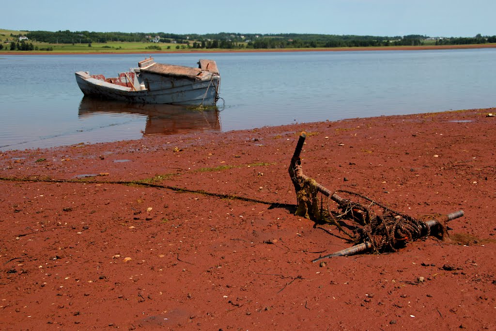 Barge à Victoria by Annie Ouimet