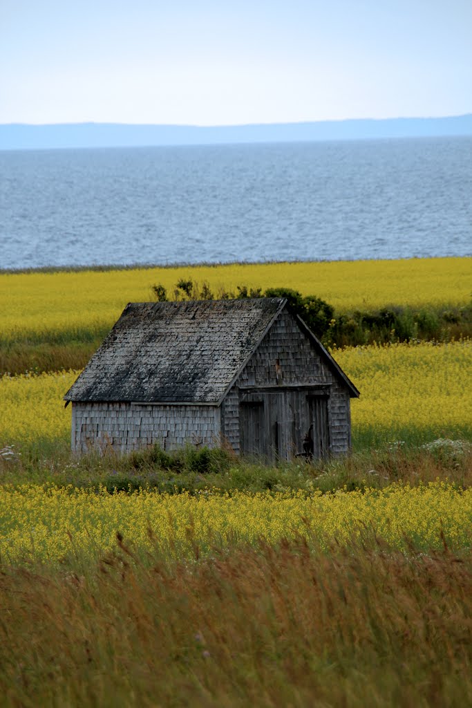 Ferme by Annie Ouimet