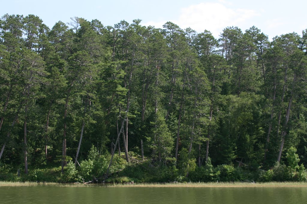 Itasca State Park by panjmax36