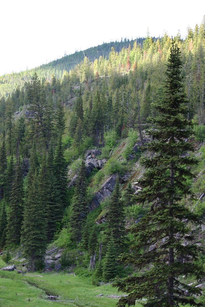 Yaak River Area, Kootenai National Forest by panjmax36