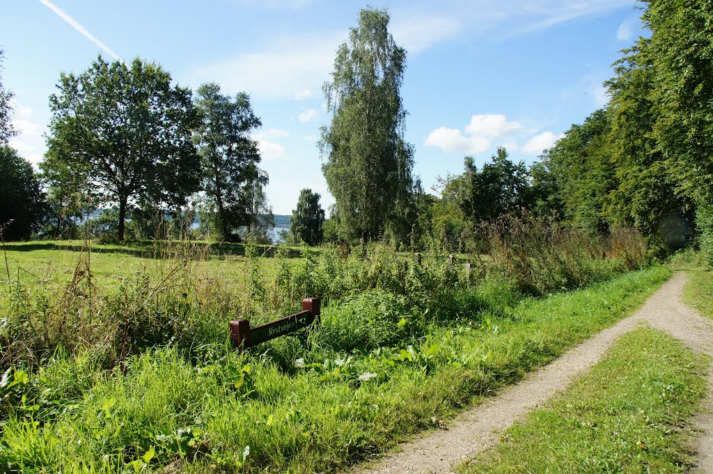 Aabenraa, Jørgensgård skov, 11. august 2012 by papkassen