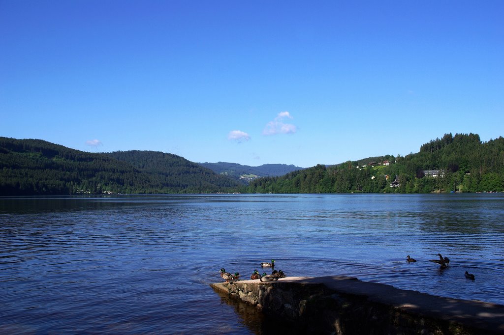 Titisee: Il lago - Germania - 2007 - 76 by Italo Carè