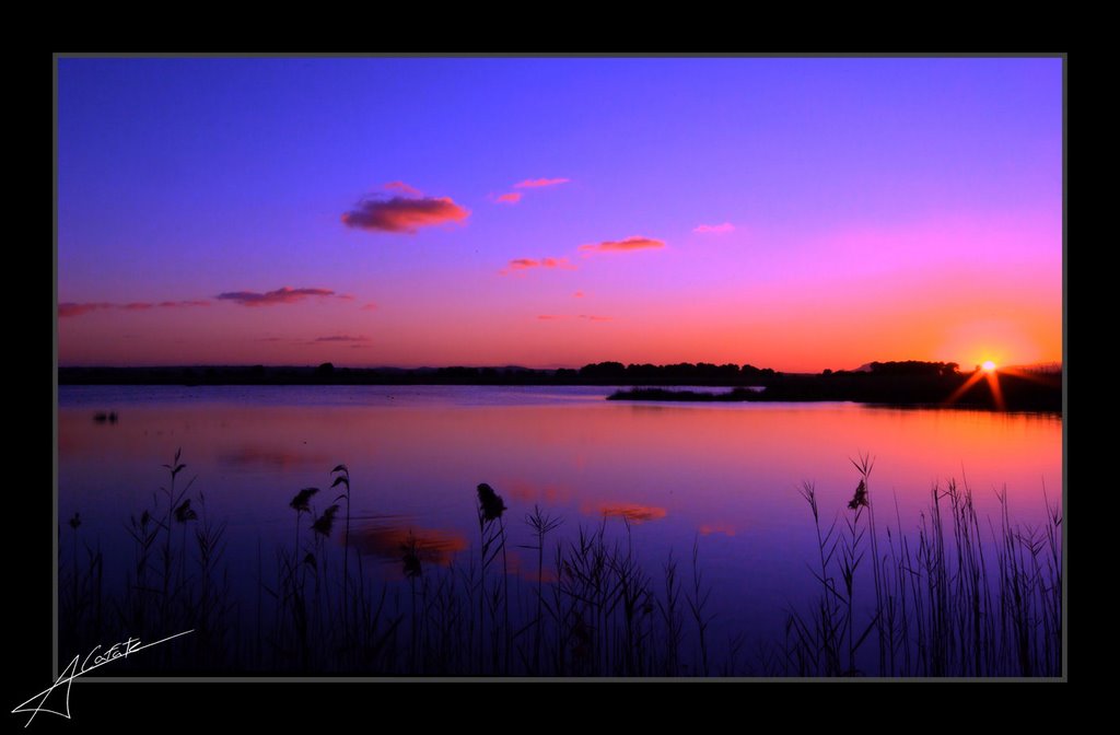 Parc Natural - S'Albufera de Muro - Mallorca - Buy a print in - http://cafate.blogspot.com/ by © Cafate