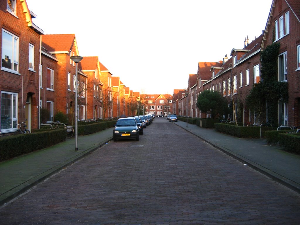 Graaf Adolfstraat by Jelmerr