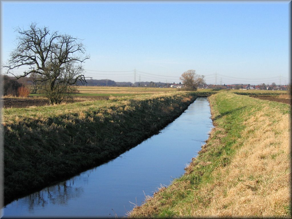 Frühling in Rodau, Zwingenberg by FSup