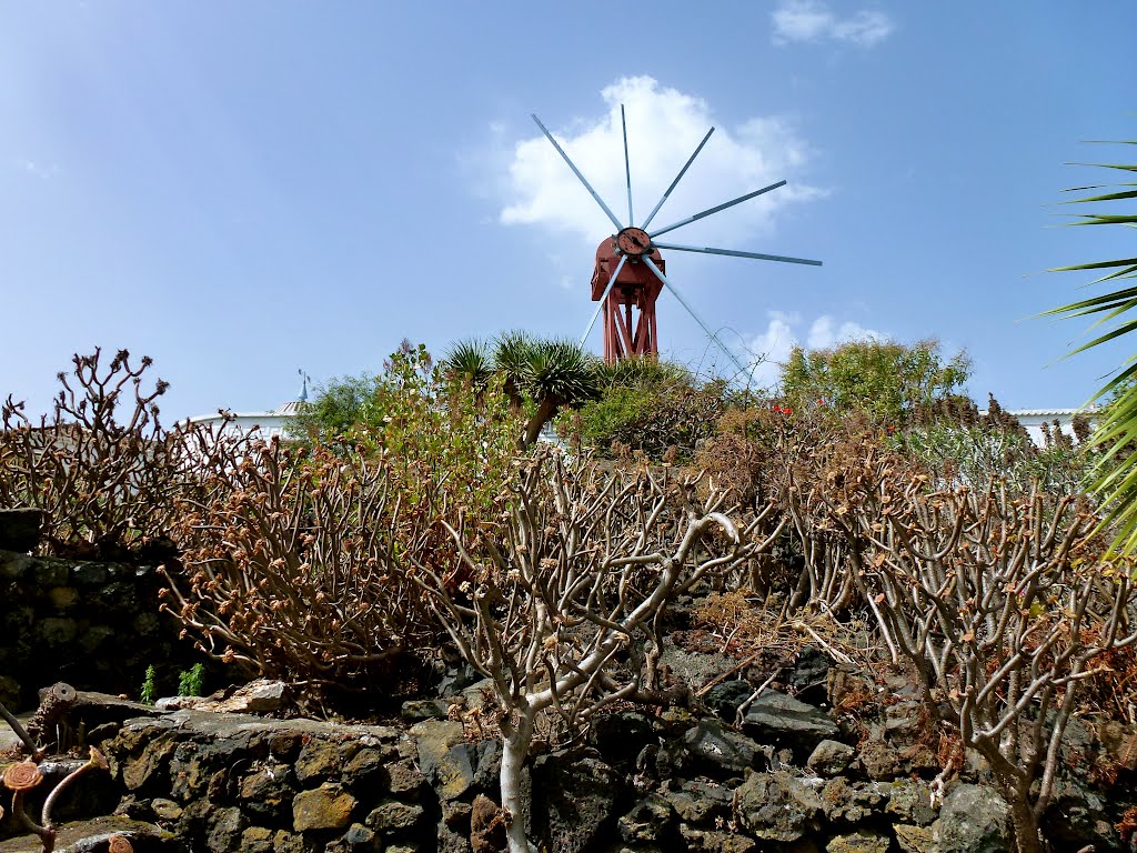 La Palma Villa de Mazo Gofiomolen by joeri Goossens