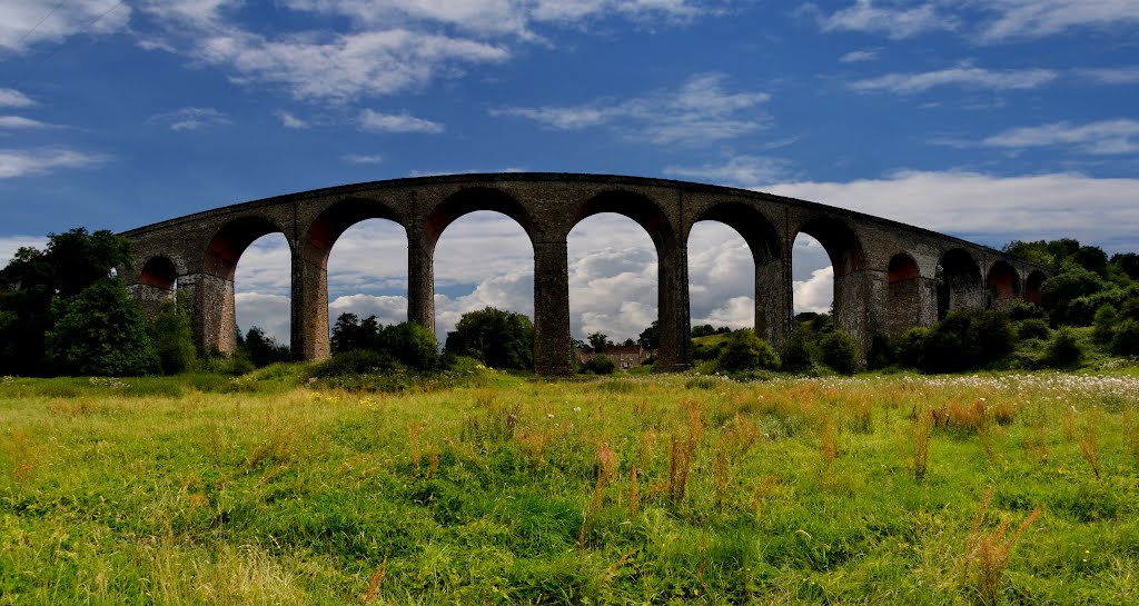 Pensford viaduct by fat-freddies-cat