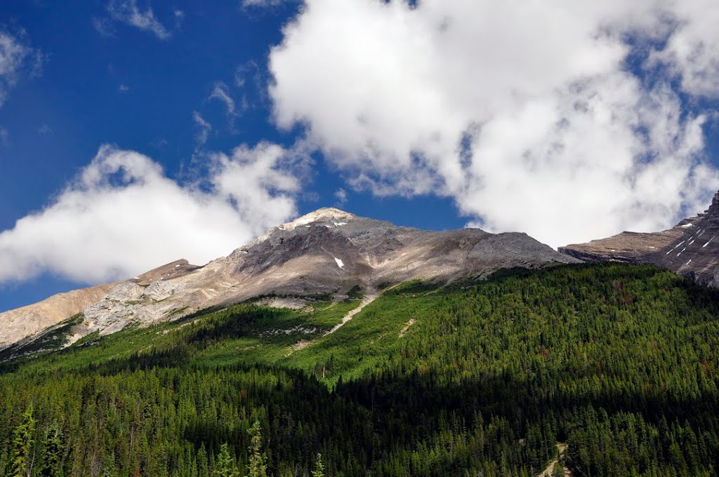 Icefield Parkway by William.Feng