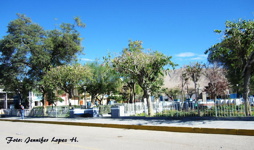 PARQUE PRINCIPAL CARAVELI/AREQUIPA/PERÙ by jean paul ht