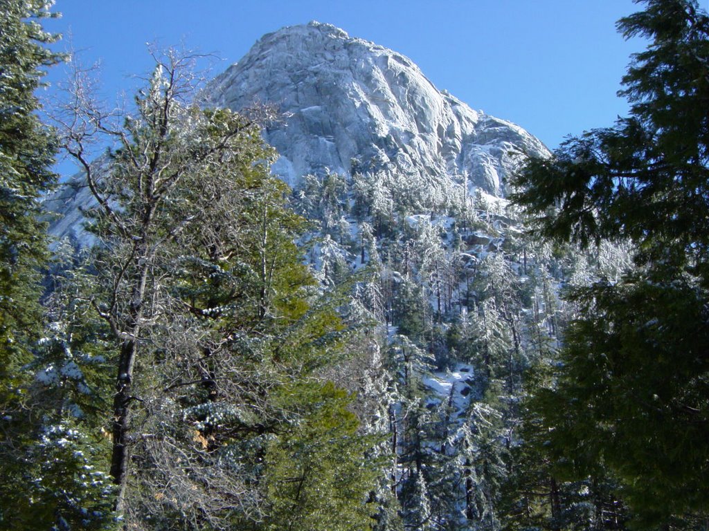 Snow Covered Lilly Rock by LarryForgacs