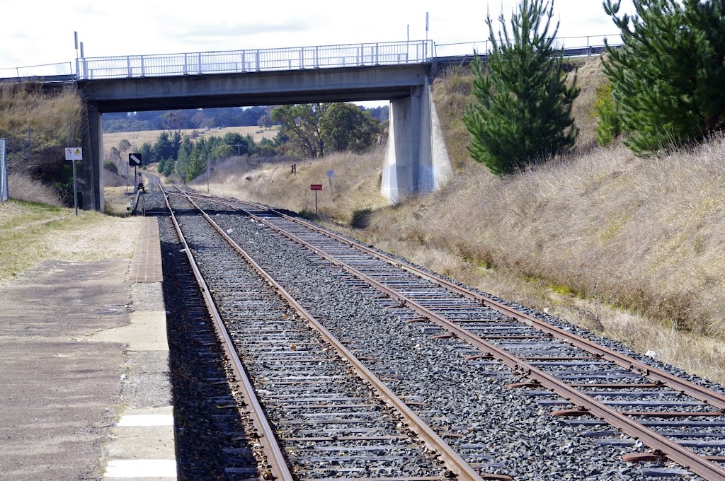 The Main North Line from Uralla by snucklepuff