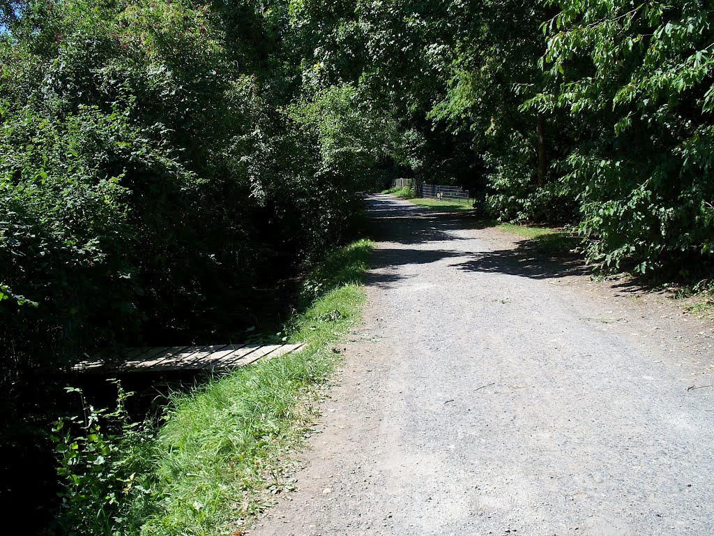 Wasserfallgraben weg undRammelsberg 13.8.2012 by Buchautor u. Schriftsteller Winfried Schäfer 