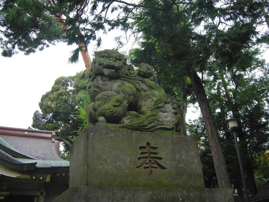 天沼八幡神社・狛犬 (Amanuma hachiman shrine, guardian dog) by yossy