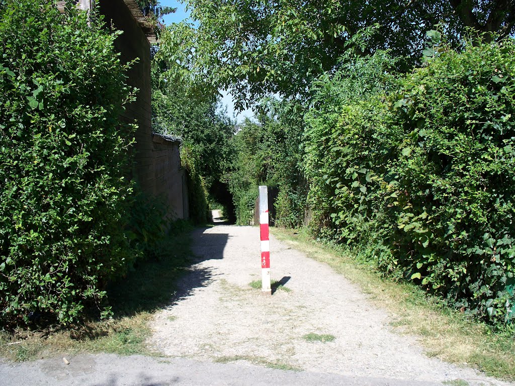 Wasserfallgraben weg undRammelsberg 13.8.2012 by Buchautor u. Schriftsteller Winfried Schäfer 