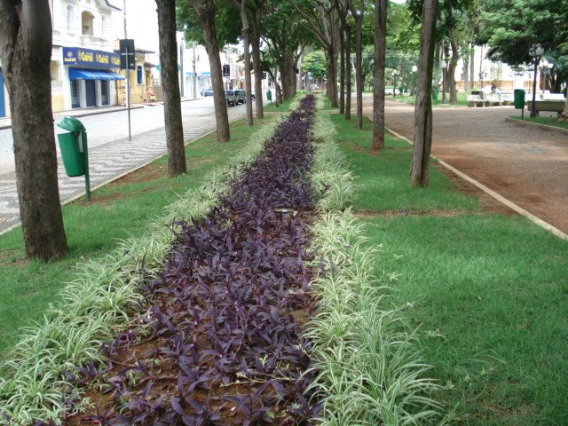 Canteiro de flores da Praça Barão de Araras by LPSLPS