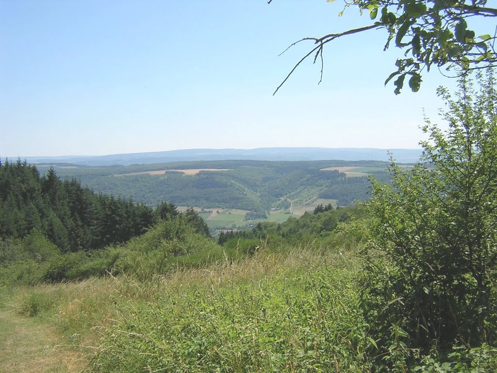 Oben in den Bergen - Kinheim a/d Mosel by gastverh