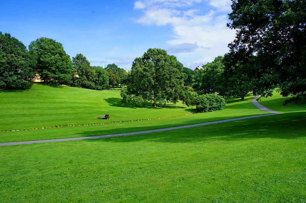 Aarhus University Park by Lífþrasir