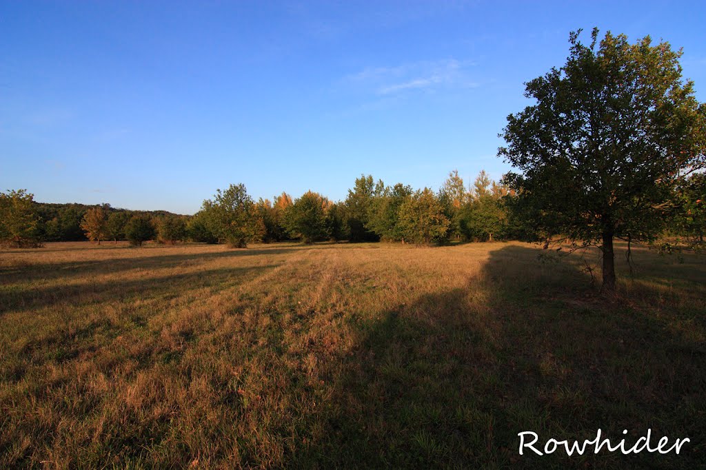 Crepuscule d'automne by Rowhider