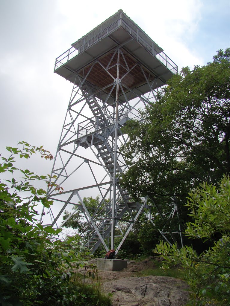 Fire Tower on Albert Mountain by John Hains