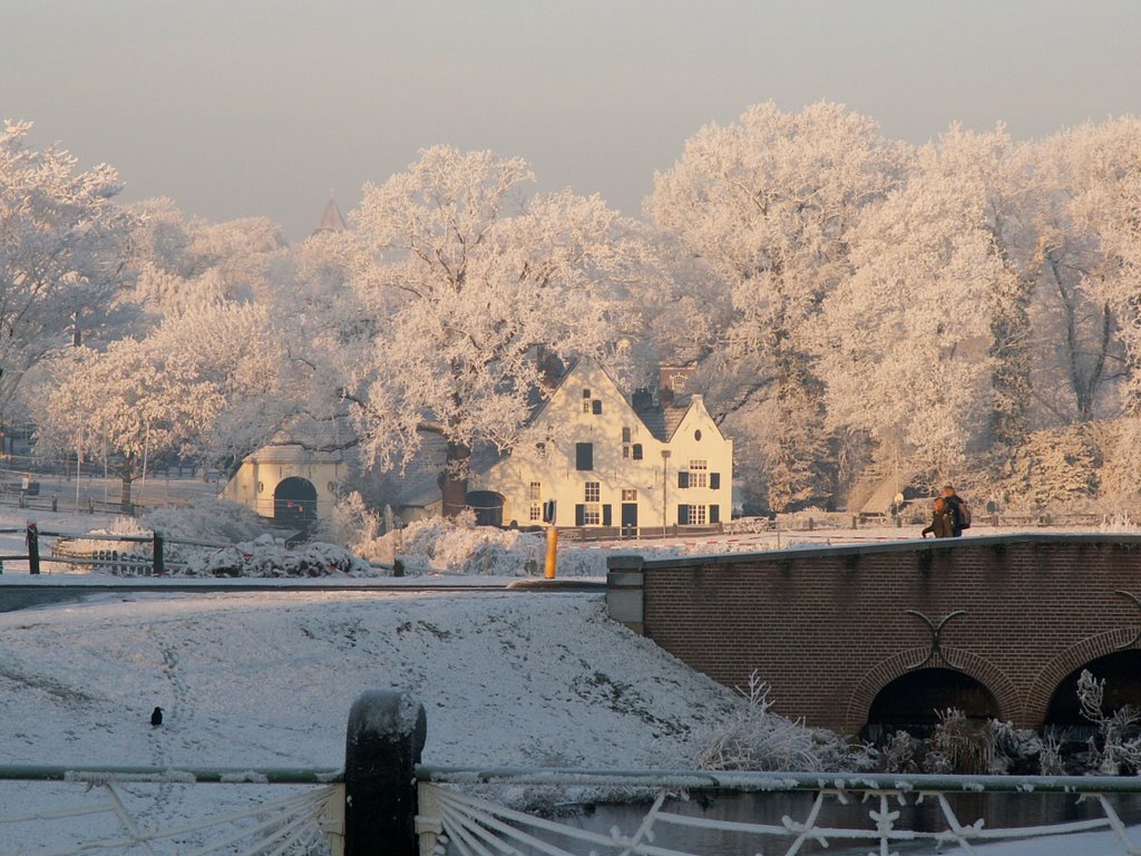 Witte Molen in het wit by viridiflavus