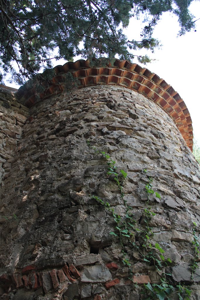 Chiesa di S.Fantino, abside by luciano mantovani