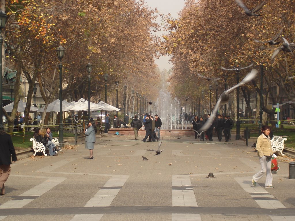 Paseo Bulnes by Pimentel Jr