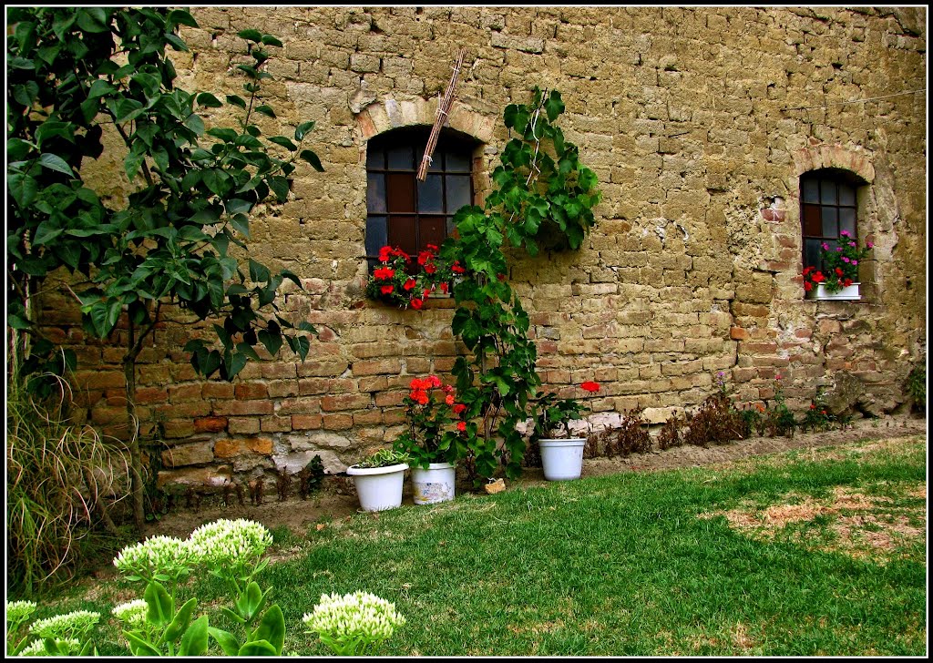 Virágos ablakok... © Floral windows… by Dezso Biczo ©