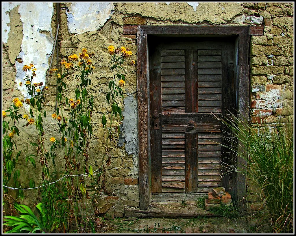 © A titkok ajtaja - The secret door by Dezso Biczo ©