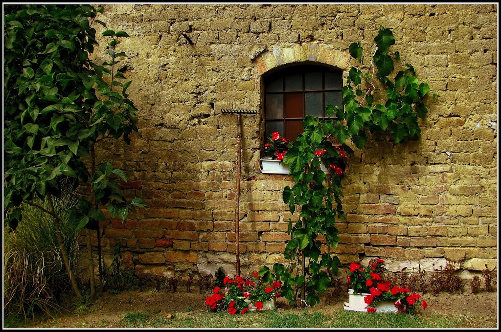 Falusi csendélet • Village still life © by Dezso Biczo ©