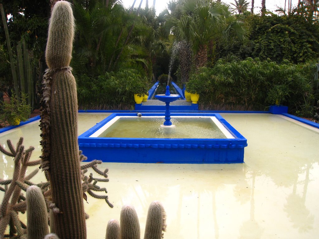 Marrakech - Jardin de Majorelle by nyctalope