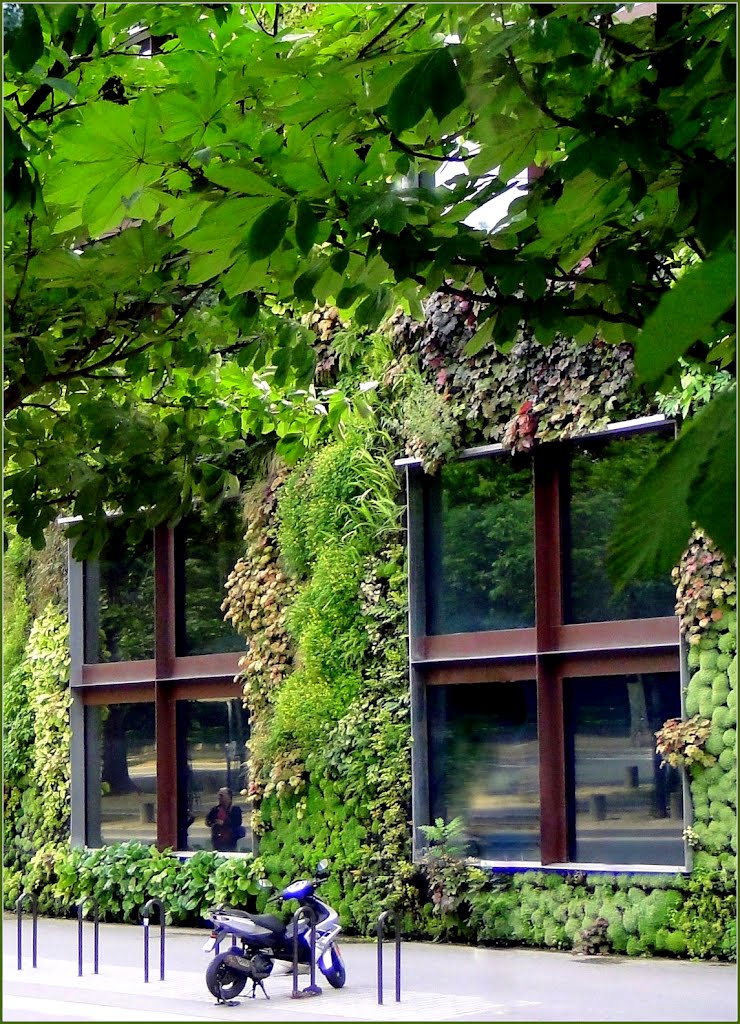 *Mur Végétal on Musée du quai Branly, Paris by Chris10 ©