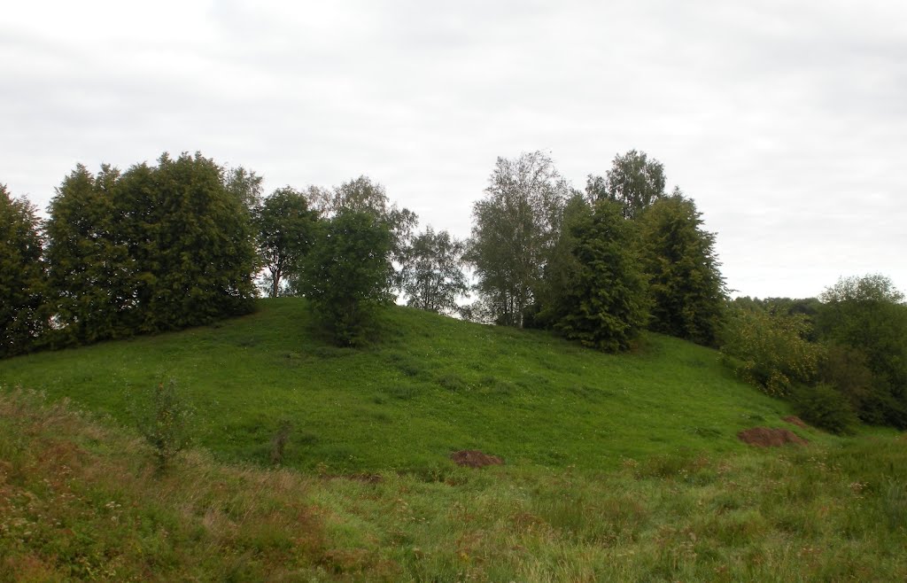 Šimonių piliakalnis (Simonys mound) by MrEko