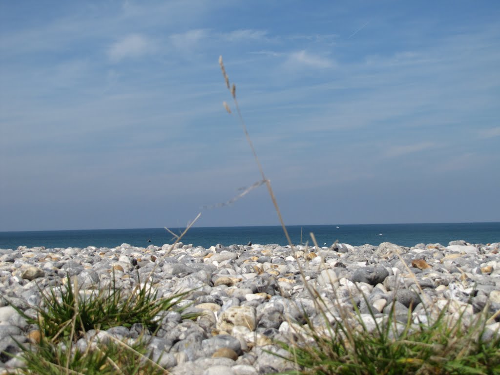 Criel-sur-mer plage by thexam