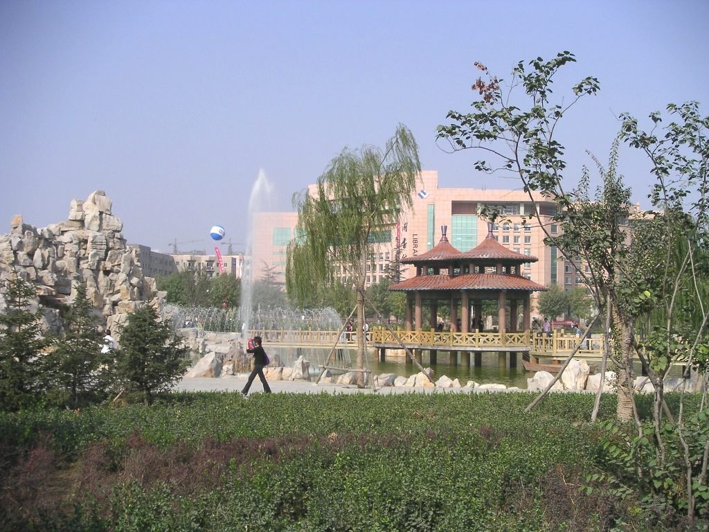 Weifang University by David Cui