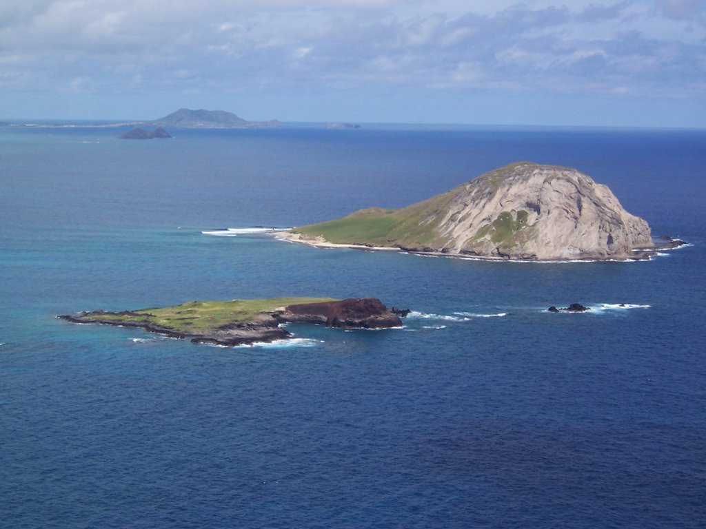 Summer Rabbit Island by JGphotos77