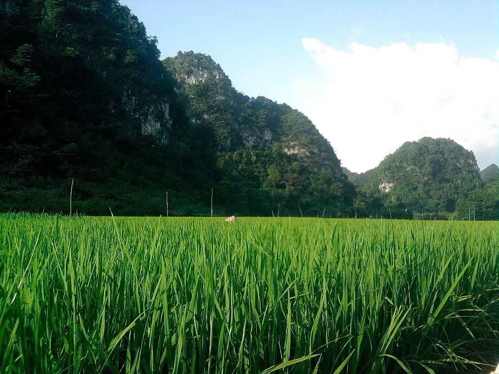 Lung o quang uyen cao bang by hungmapcb