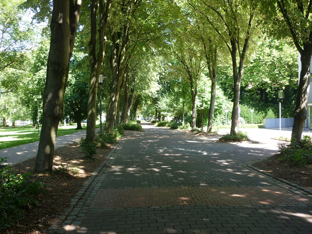 Allee am Emscherpark (Holzwickede) / 23.07.2012 by Iceman93 / NO VIEWS!!!