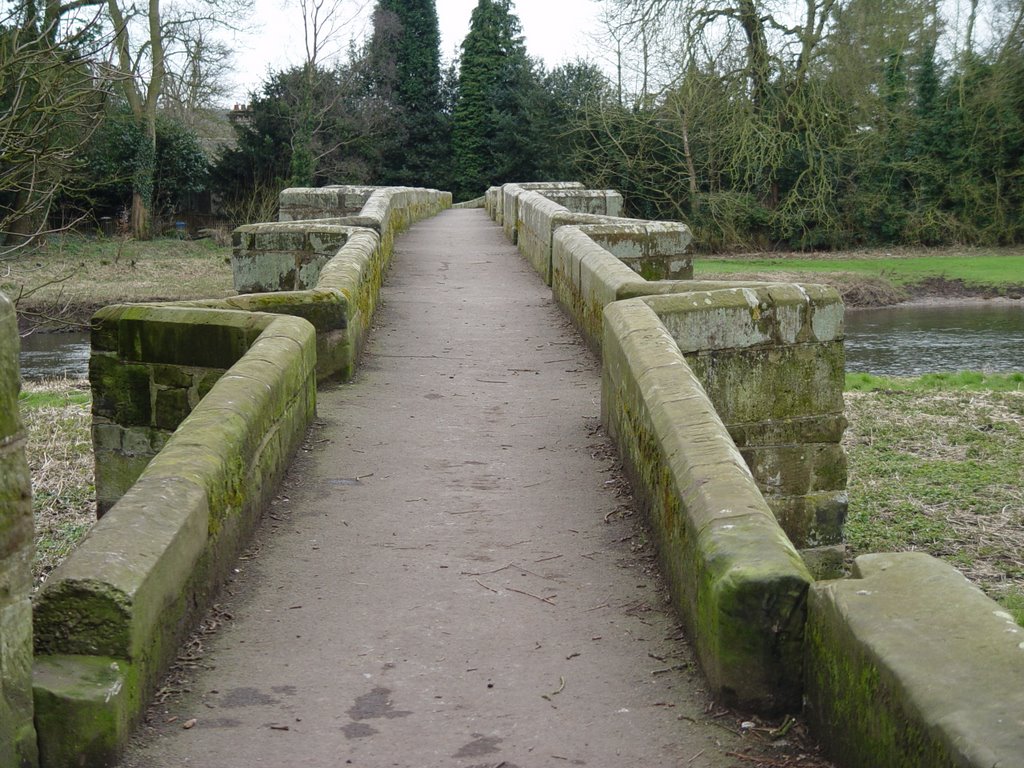 Essex Bridge where River Sow joins River Trent by Christine Elliott