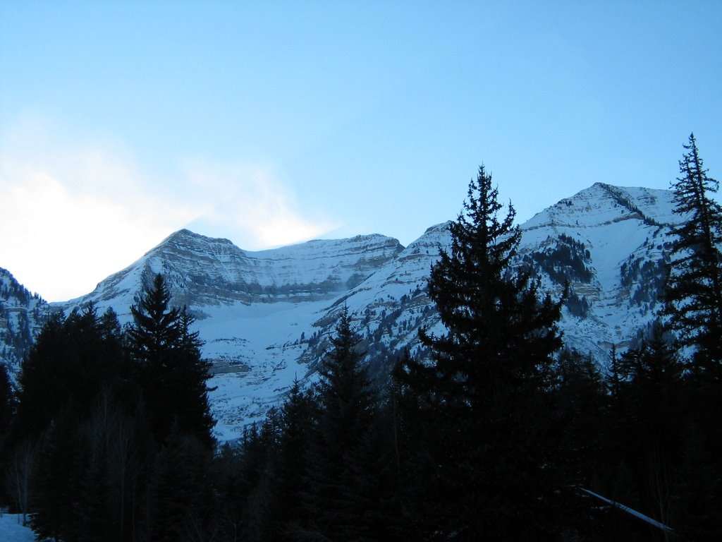 Timp from Sundance by Bowdrie Clawson